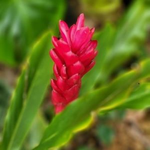 Meet your Posher, Leticia